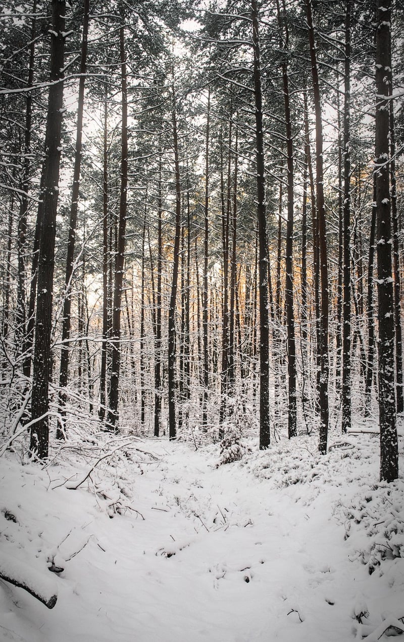 Seasonal Verticals