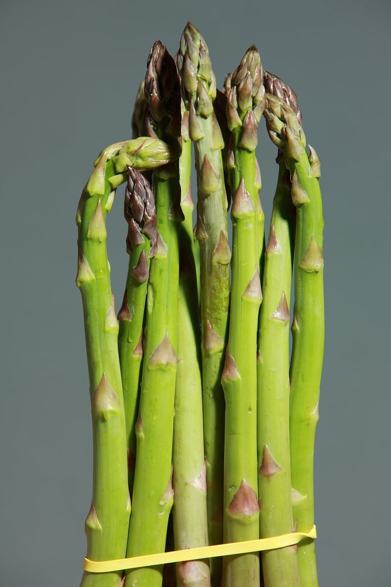 Vertical Seasonal Menu